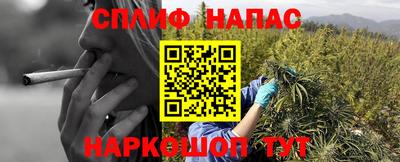 спиды Абинск