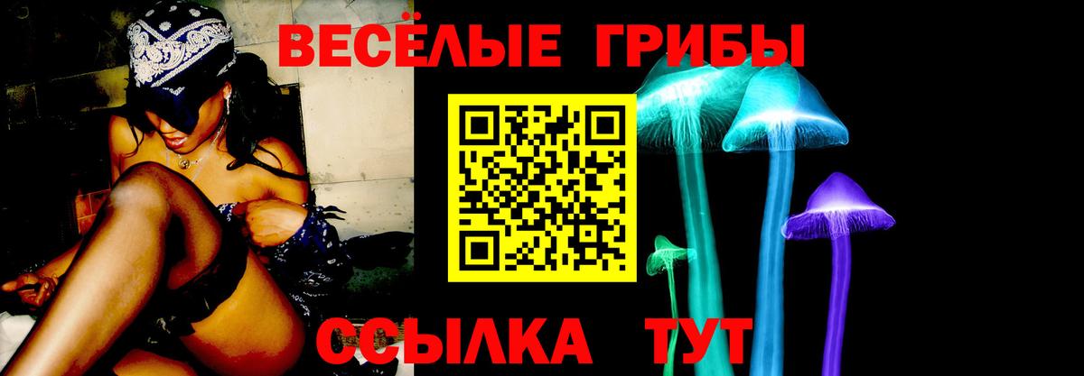Псилоцибиновые грибы Magic Shrooms  Вход с VPN  Россия 