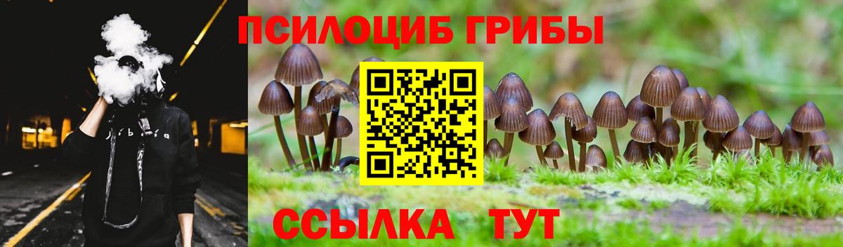 Псилоцибиновые грибы ЛСД Россия